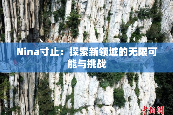 Nina寸止：探索新领域的无限可能与挑战