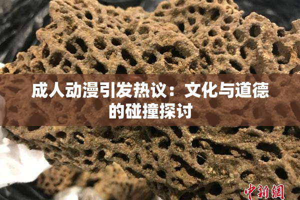 成人动漫引发热议：文化与道德的碰撞探讨