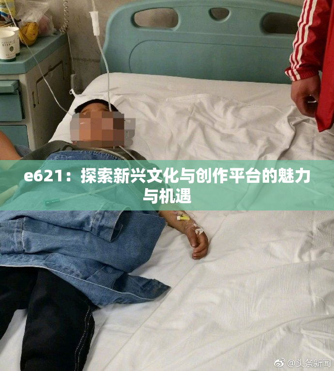 e621：探索新兴文化与创作平台的魅力与机遇