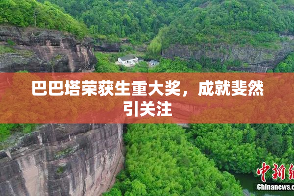 巴巴塔荣获生重大奖，成就斐然引关注