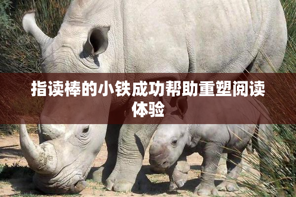 指读棒的小铁成功帮助重塑阅读体验