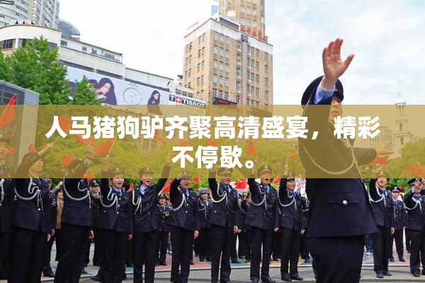人马猪狗驴齐聚高清盛宴，精彩不停歇。