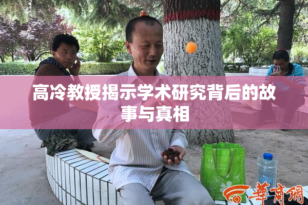 高冷教授揭示学术研究背后的故事与真相
