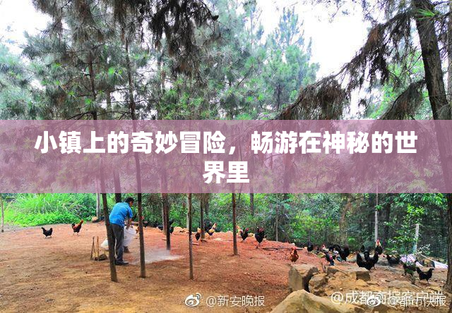 小镇上的奇妙冒险，畅游在神秘的世界里