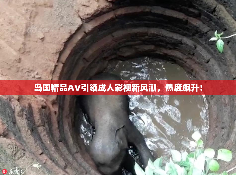 岛国精品AV引领成人影视新风潮，热度飙升！