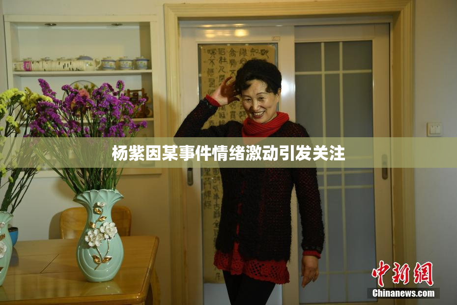 杨紫因某事件情绪激动引发关注