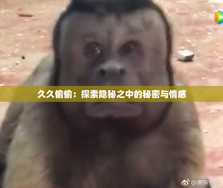 久久偷偷：探索隐秘之中的秘密与情感