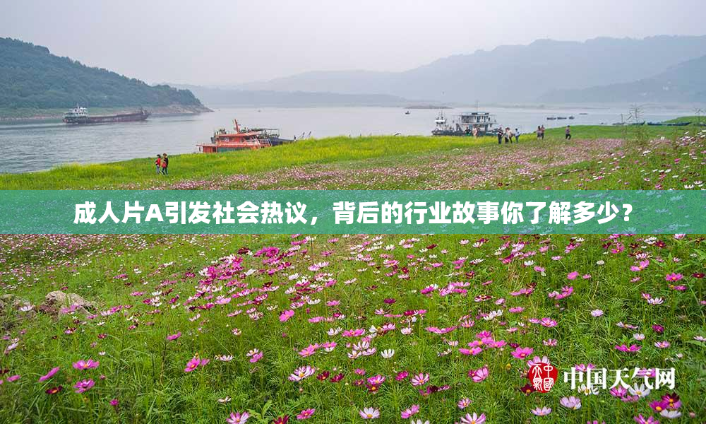 成人片A引发社会热议，背后的行业故事你了解多少？