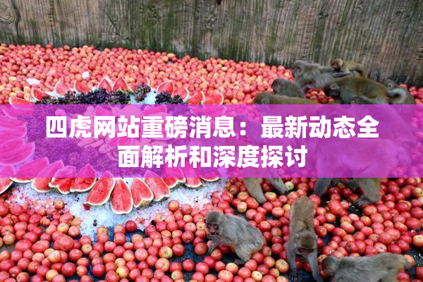四虎网站重磅消息：最新动态全面解析和深度探讨