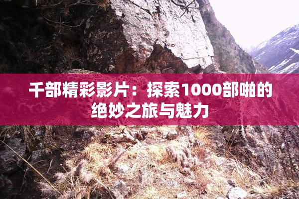千部精彩影片：探索1000部啪的绝妙之旅与魅力