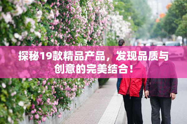 探秘19款精品产品，发现品质与创意的完美结合！