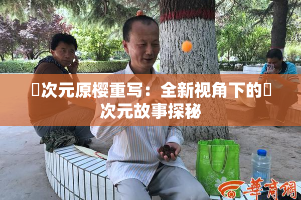 囧次元原樱重写：全新视角下的囧次元故事探秘