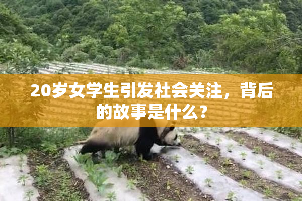 20岁女学生引发社会关注，背后的故事是什么？