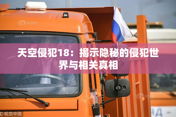 天空侵犯18：揭示隐秘的侵犯世界与相关真相