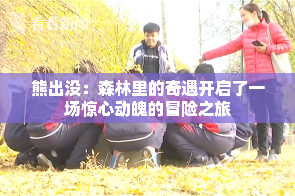 熊出没：森林里的奇遇开启了一场惊心动魄的冒险之旅