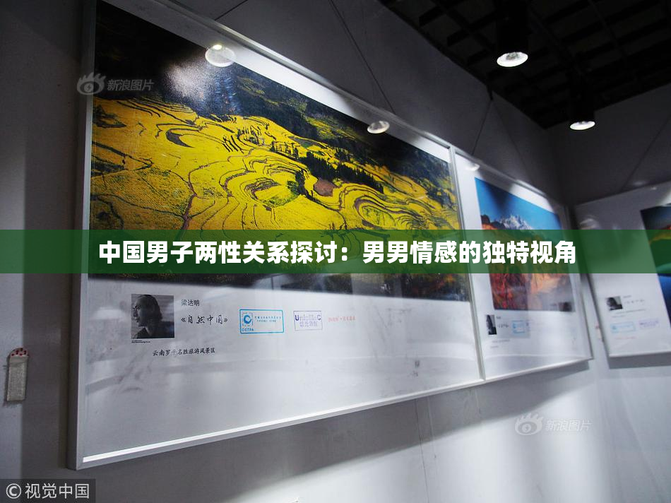 中国男子两性关系探讨：男男情感的独特视角