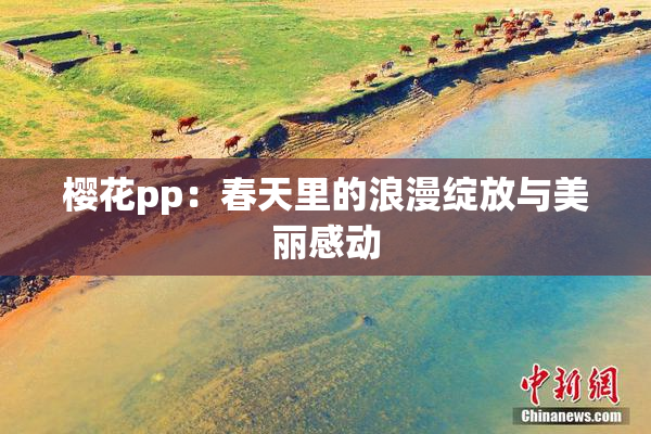 樱花pp：春天里的浪漫绽放与美丽感动