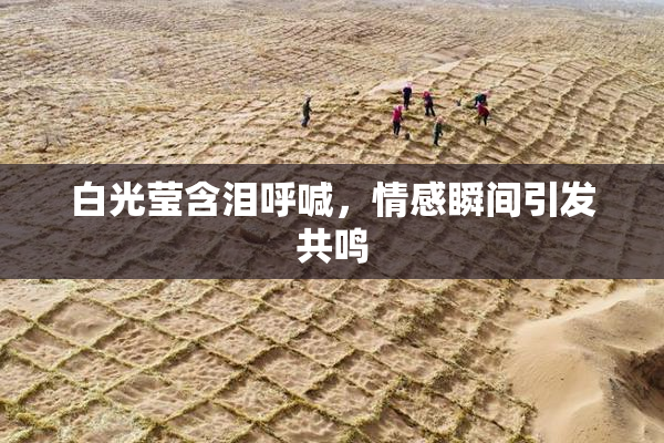 白光莹含泪呼喊，情感瞬间引发共鸣
