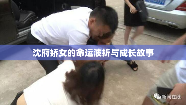 沈府娇女的命运波折与成长故事