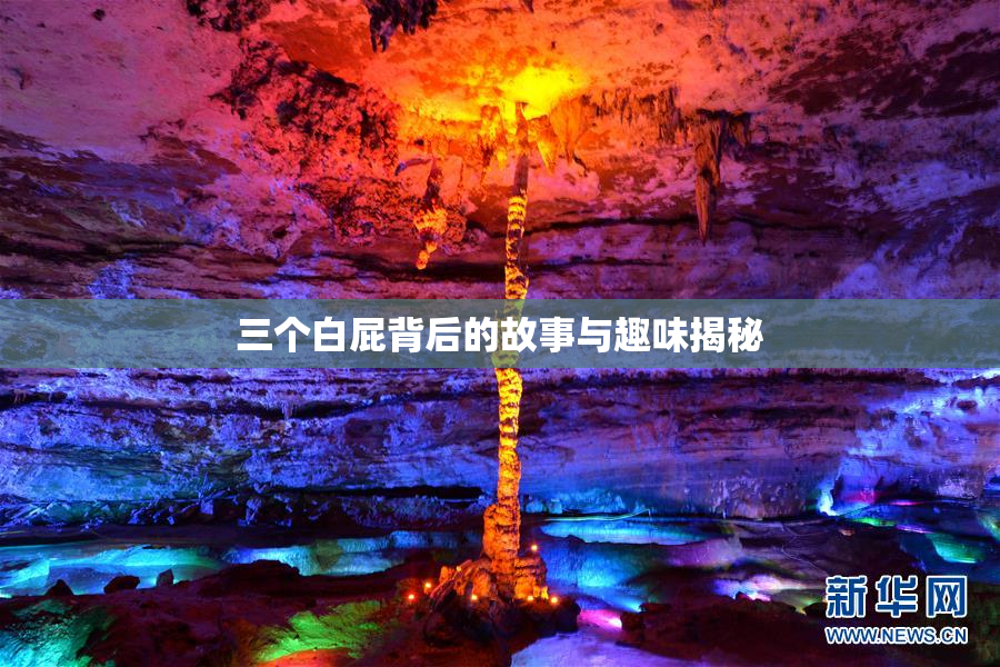 三个白屁背后的故事与趣味揭秘