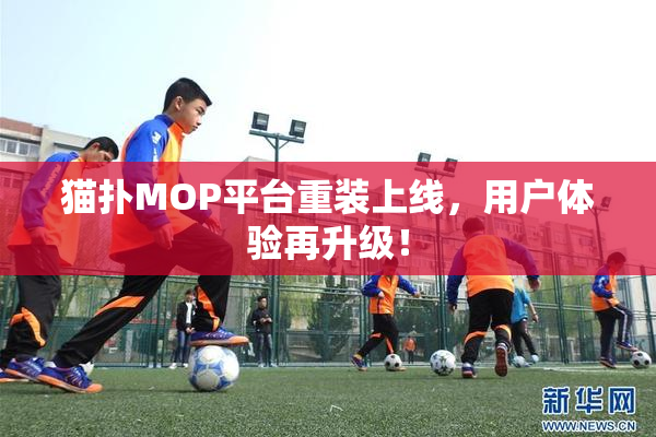 猫扑MOP平台重装上线，用户体验再升级！