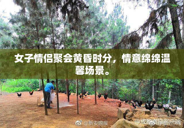 女子情侣聚会黄昏时分，情意绵绵温馨场景。