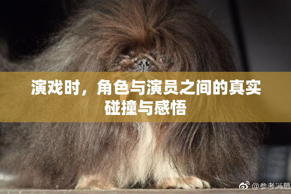 演戏时，角色与演员之间的真实碰撞与感悟