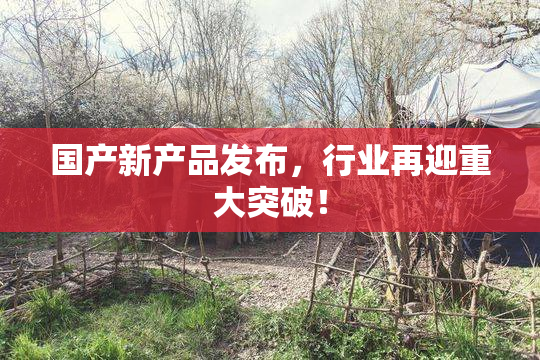国产新产品发布，行业再迎重大突破！