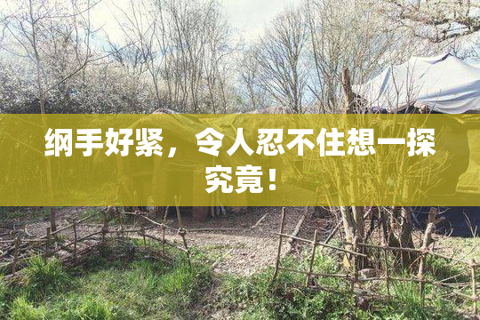 纲手好紧，令人忍不住想一探究竟！