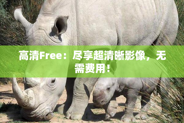 高清Free：尽享超清晰影像，无需费用！
