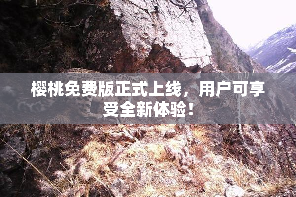 樱桃免费版正式上线，用户可享受全新体验！
