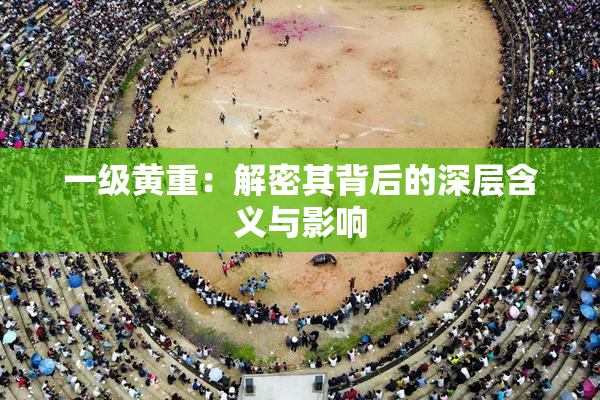 一级黄重：解密其背后的深层含义与影响
