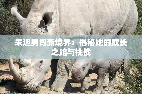 朱迪勇闯新境界：揭秘她的成长之路与挑战
