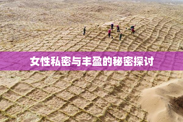 女性私密与丰盈的秘密探讨