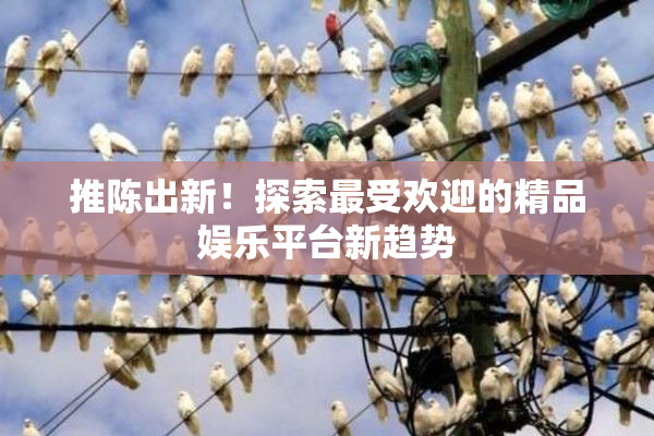 推陈出新！探索最受欢迎的精品娱乐平台新趋势