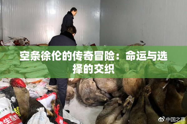 空条徐伦的传奇冒险：命运与选择的交织