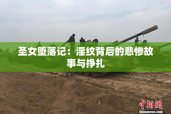 圣女堕落记：淫纹背后的悲惨故事与挣扎