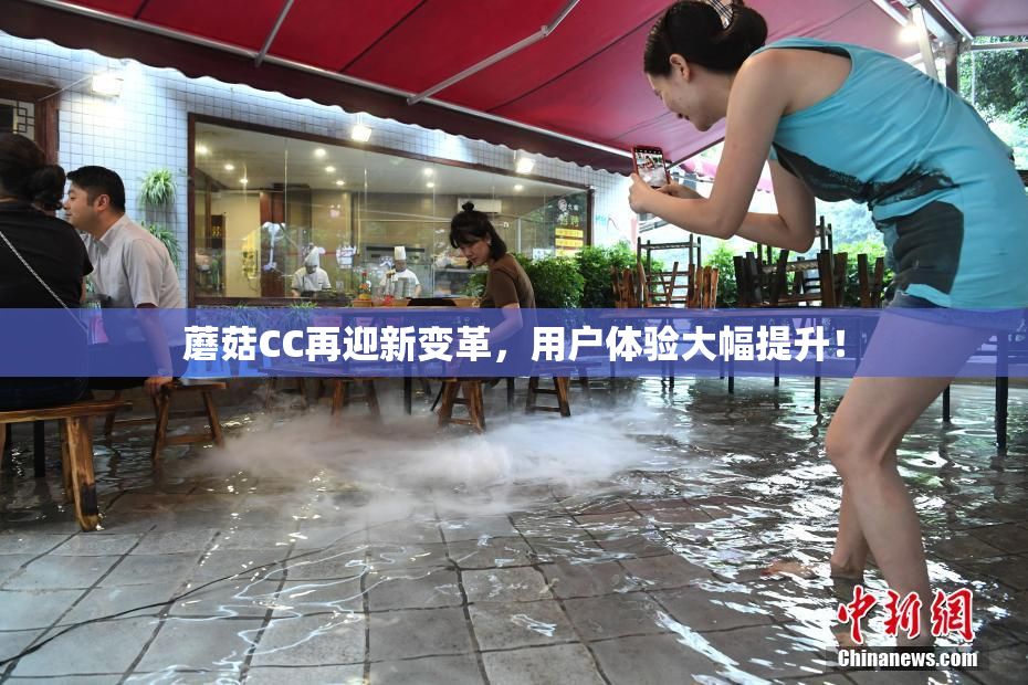 蘑菇CC再迎新变革，用户体验大幅提升！