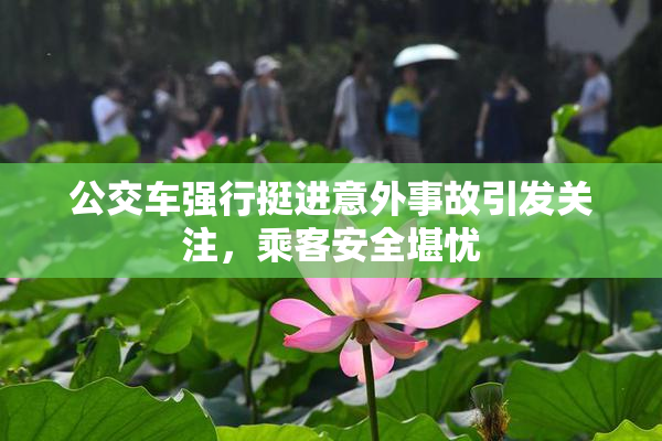 公交车强行挺进意外事故引发关注，乘客安全堪忧