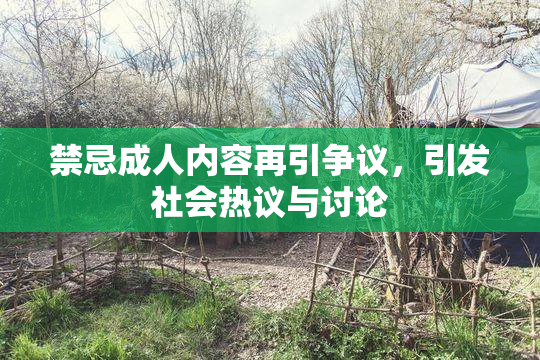 禁忌成人内容再引争议，引发社会热议与讨论