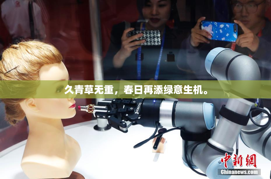 久青草无重，春日再添绿意生机。