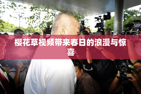 樱花草视频带来春日的浪漫与惊喜