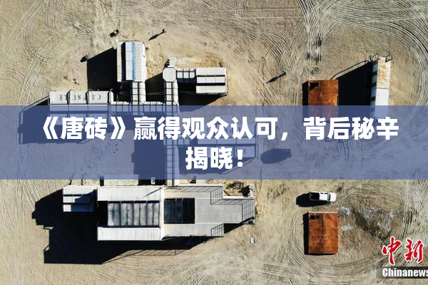 《唐砖》赢得观众认可，背后秘辛揭晓！