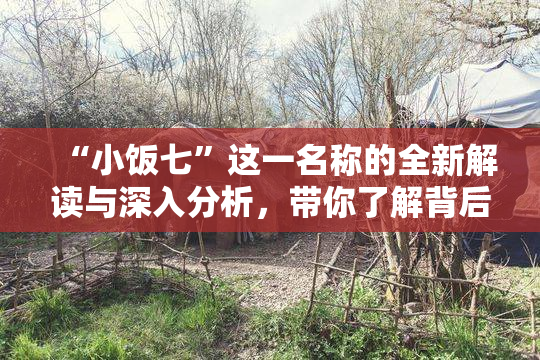 “小饭七”这一名称的全新解读与深入分析，带你了解背后的故事与文化。