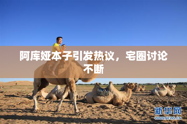 阿库娅本子引发热议，宅圈讨论不断