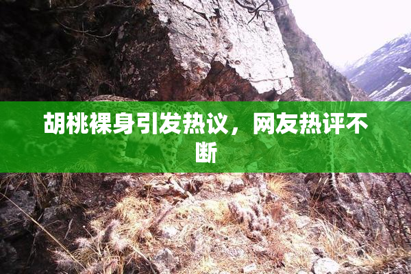 胡桃裸身引发热议，网友热评不断