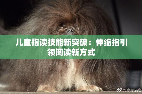 儿童指读技能新突破：伸缩指引领阅读新方式