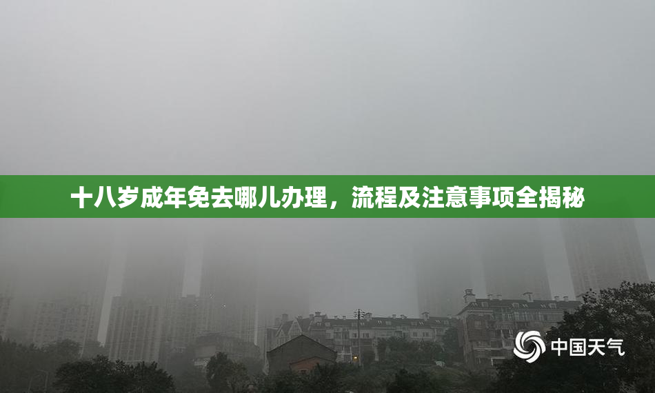 十八岁成年免去哪儿办理，流程及注意事项全揭秘