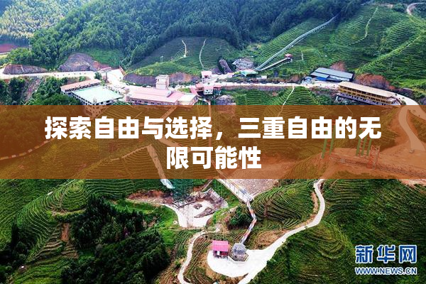 探索自由与选择，三重自由的无限可能性