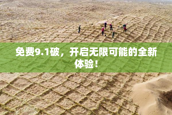 免费9.1破，开启无限可能的全新体验！